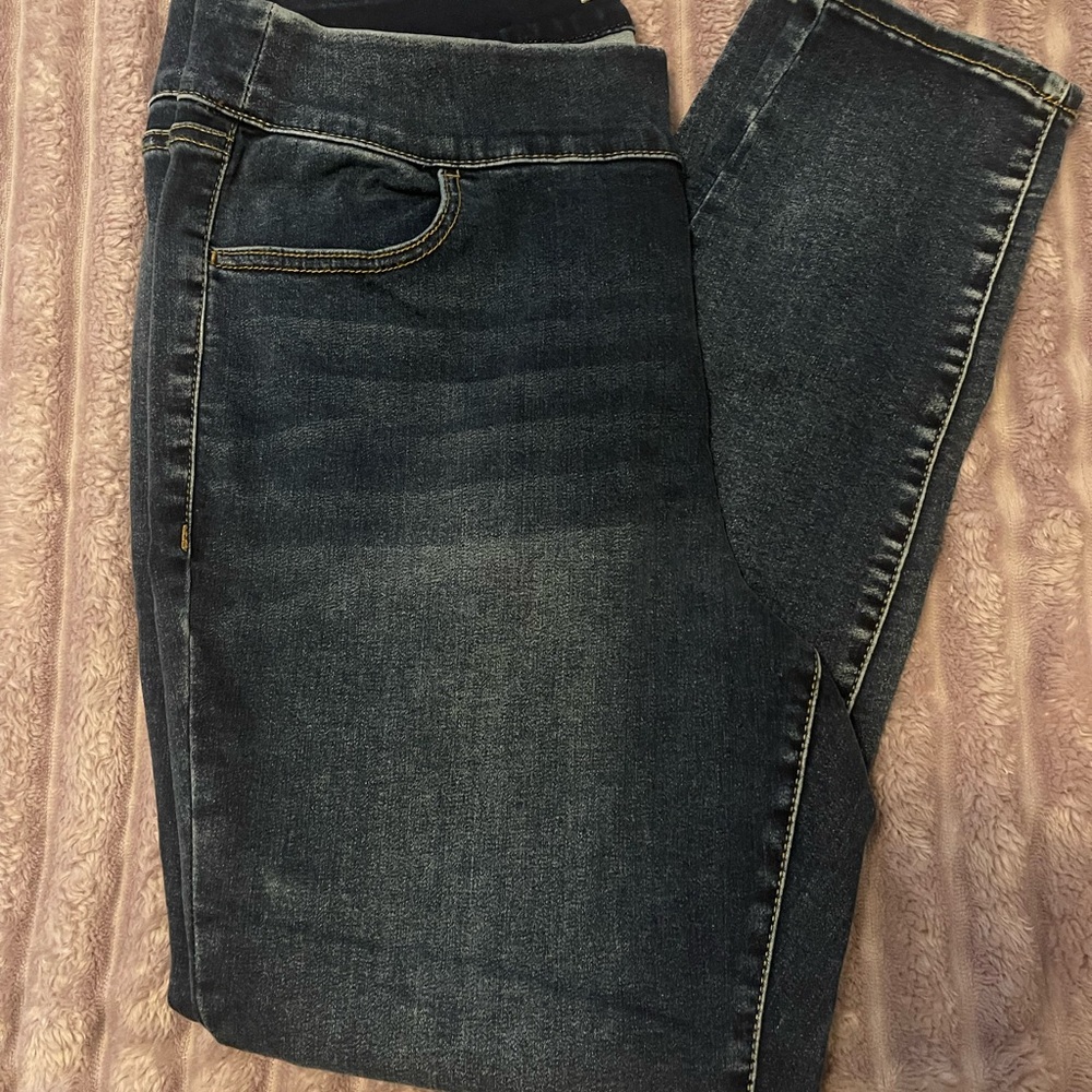 Lane Bryant Dark Wash Blue Jeggings